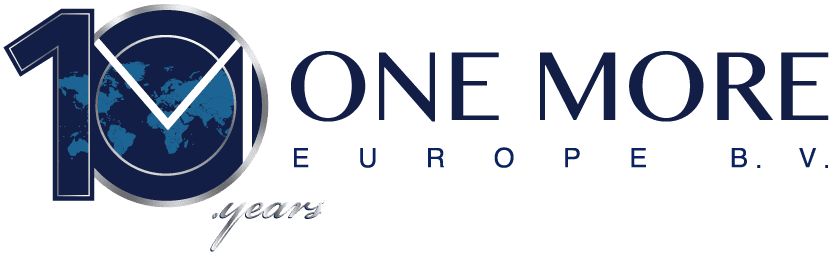 10th Year Logo Europe logo - TRON Group IT partner